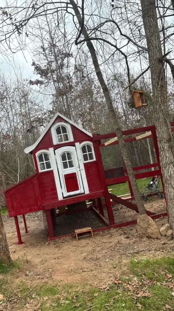 Low Budget Chicken Coop Ideas
