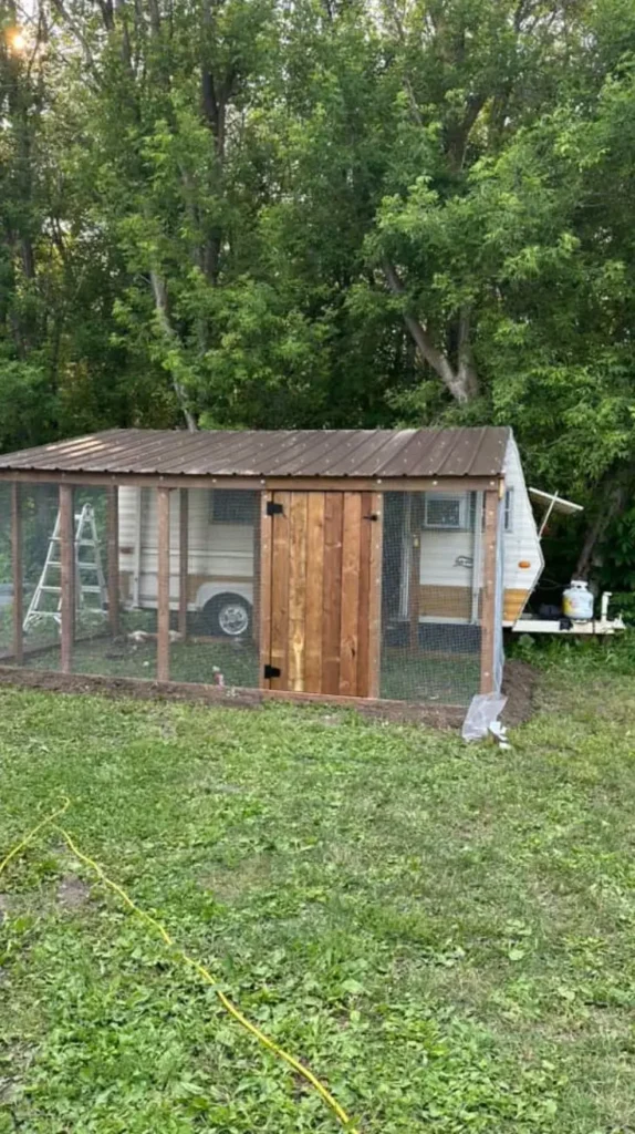 Low Budget Chicken Coop Ideas 