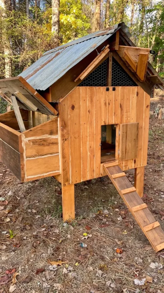 Low Budget Chicken Coop Ideas 