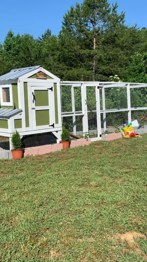 Low Budget Chicken Coop Ideas
