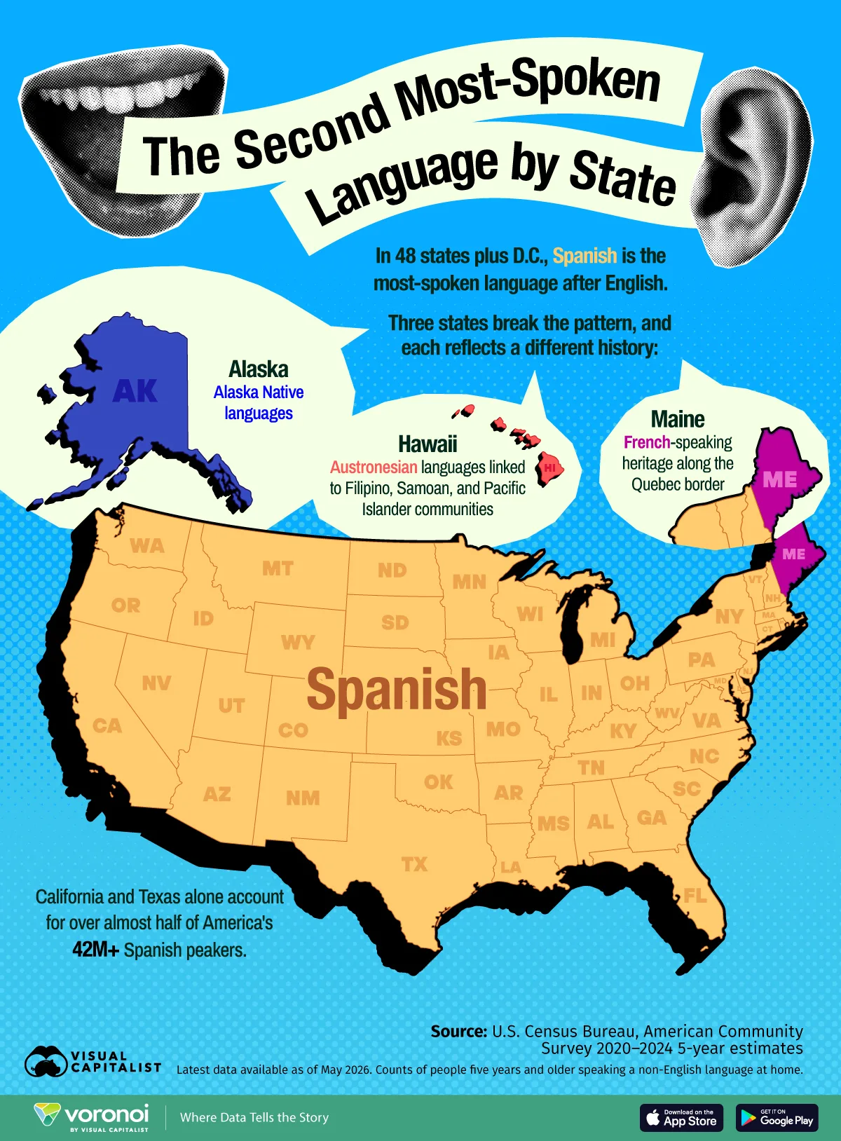 Map showing the second language in every U.S. state, with Spanish leading in 47 states plus D.C.