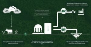 carbon capture and storage