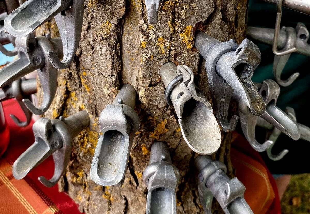 Old taps in a log created an artistic backdrop at Grand Maple Farm’s vendor booth during a DufferinFarm tour. Photo: Diana Martin