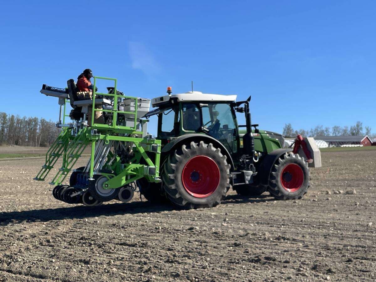 The 2026 cereal research plots at Apelsvoll research station are in the process of being planted. Photo: Submitted