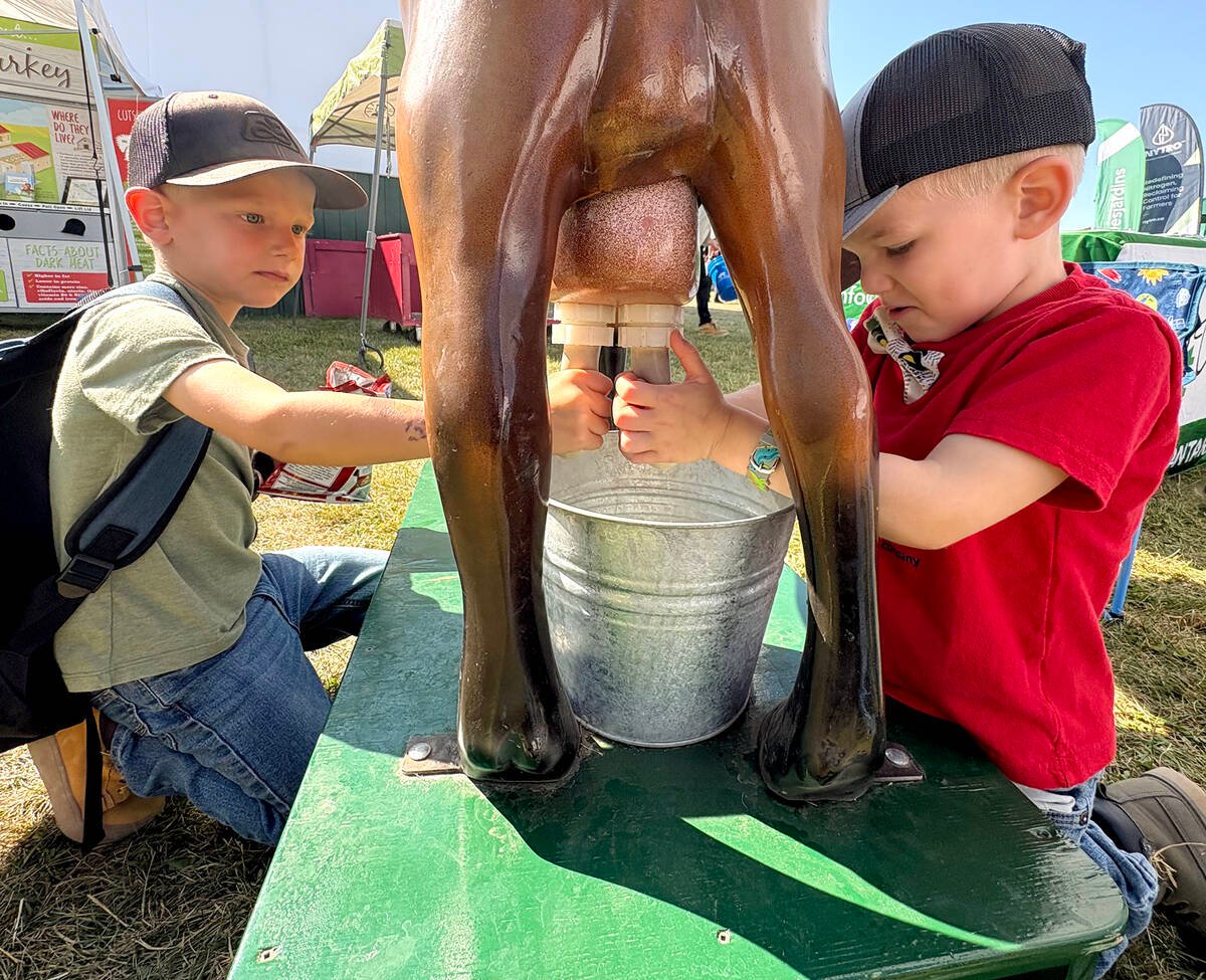 Blake McQueen, 5 and J.D. McQueen, 4, enjoyed the Ontario Goat Farmers booth during the final day of Canada’s Outdoor Farm Show. The organization supports education, research and lobbying efforts to improve goat dairy and fibre production. Photo: Diana Martin