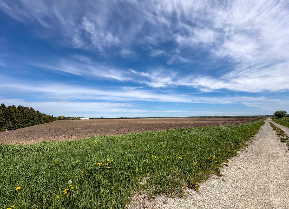 The Department of National Defence purchased this 700-acre property in Clearview Township as a potential site for a long-distance Arctic Over-the-Horizon radar. Photo: Diana Martin