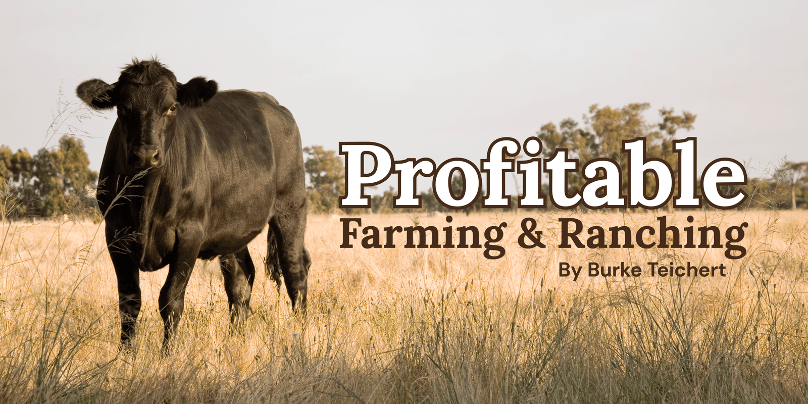Profitable