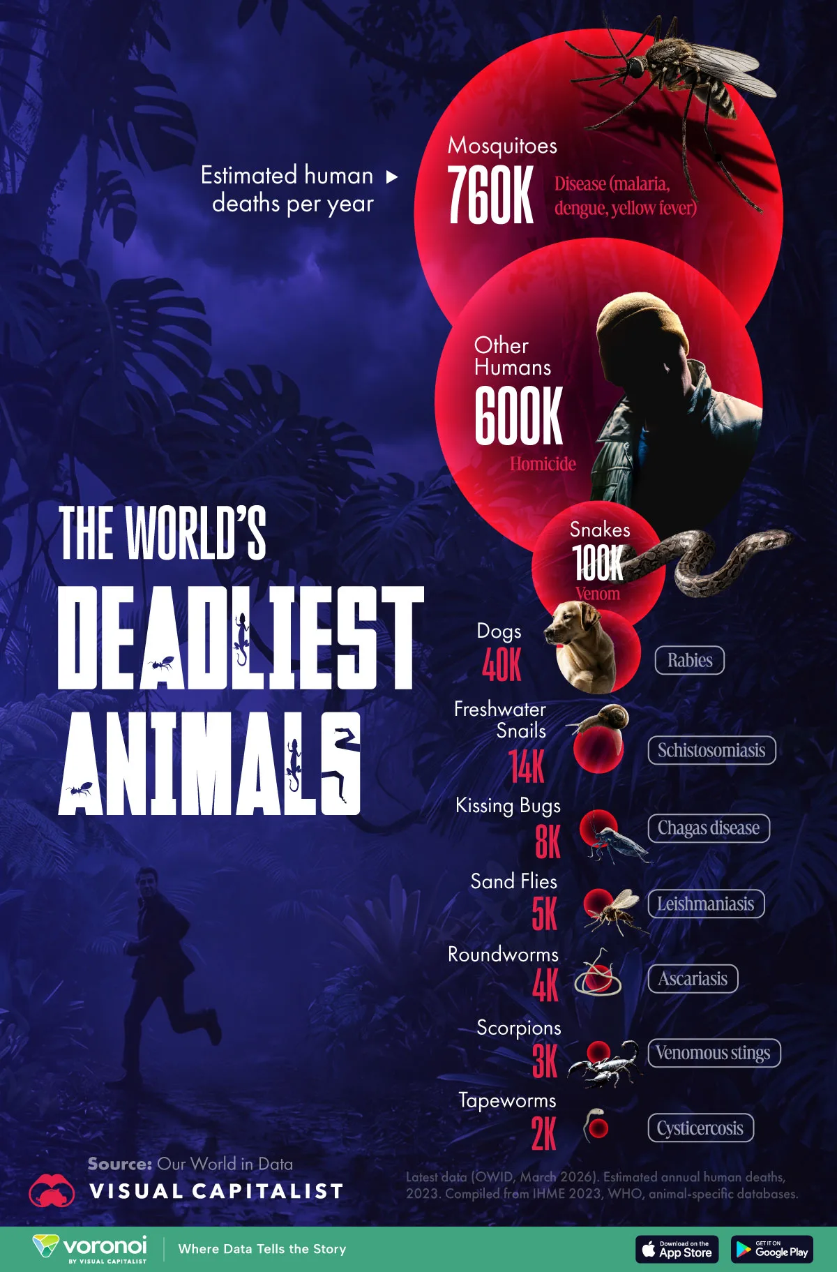 Bubble graphic showing the world's 10 deadliest animals based on estimated human deaths per year.