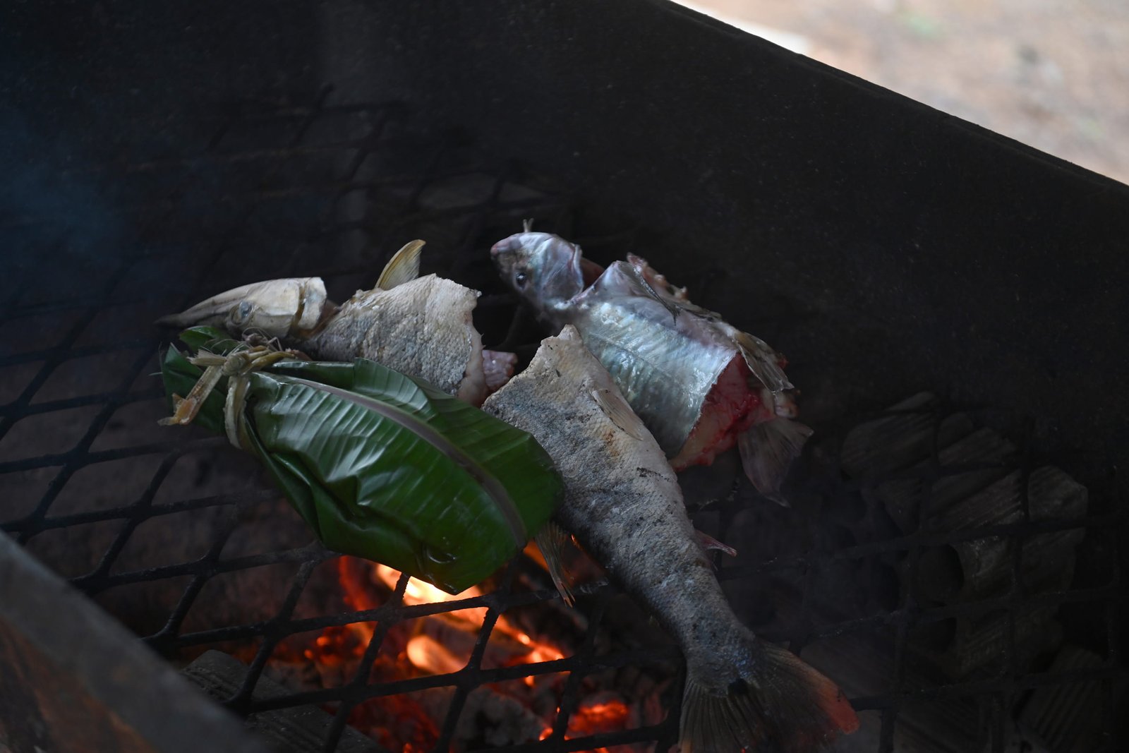 Fish grill over a fire