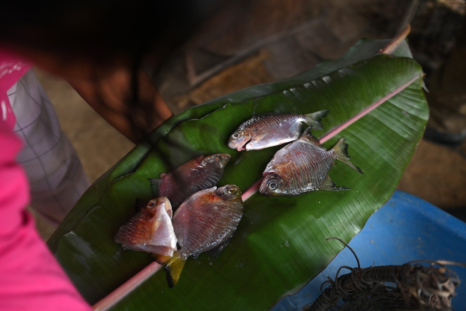 Fish roast on a large leaf