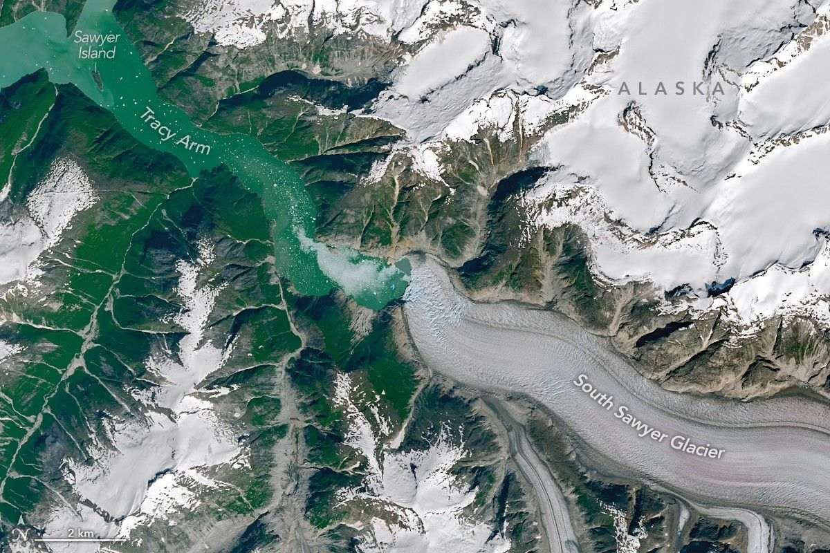 Satellite view of a fjord with a glacier occupying the right half and open water on the left. Much of the fjord valley walls are covered with exposed rock and green vegetation.