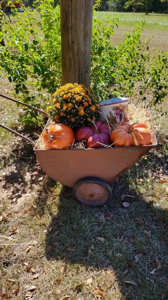 Wheelbarrow Decor Ideas That Turn Any Yard Into a Charming Outdoor Escape Wheelbarrow Decor Ideas That Turn Any Yard Into a Charming Outdoor Escape