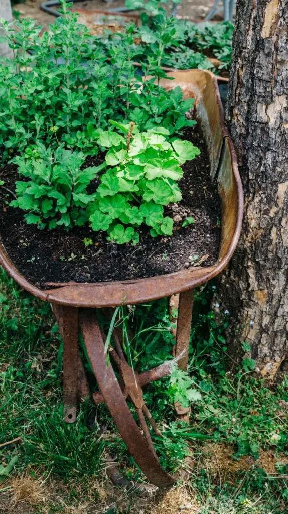 Wheelbarrow Decor Ideas Wheelbarrow Decor Ideas