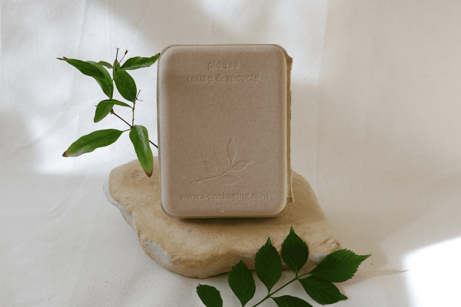 Molded pulp packaging box by s-packaging.com displayed upright on a natural stone, with embossed 'please reuse & recycle' text and leaf logo — eco-friendly sustainable packaging for brands