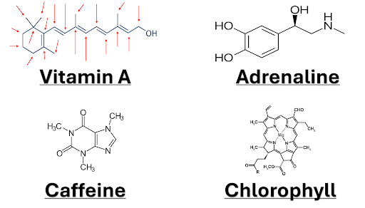 Carbon Atoms