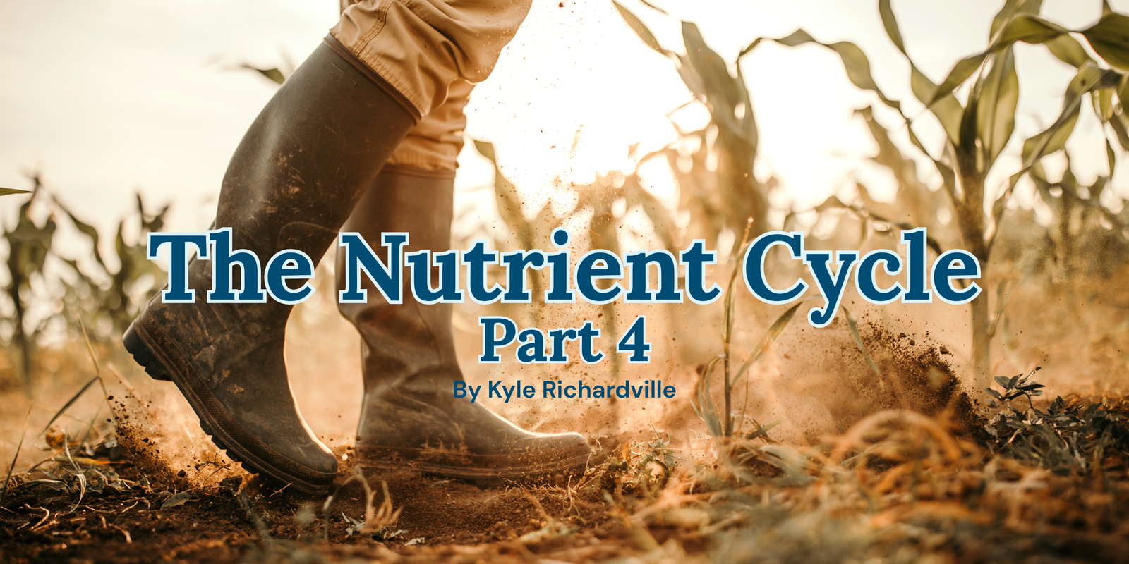 The Nutrient Cycle Pt 4