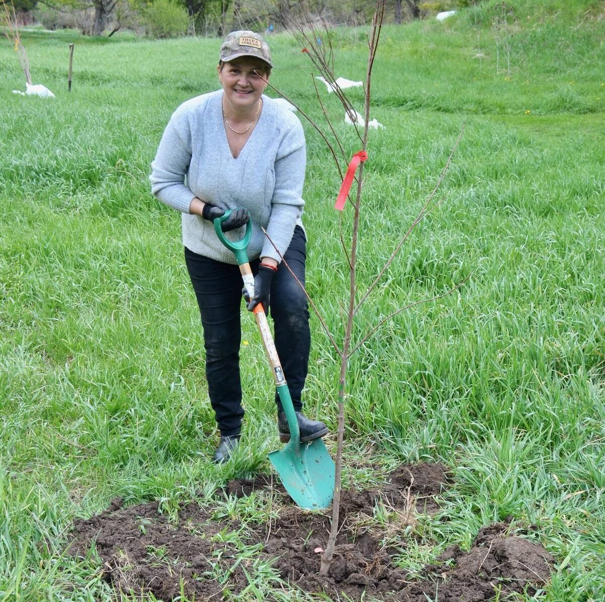 A volunteer plants at a tree at a Freshwater Conservation Canada planting site. Photo: Helen Lammers-Helps