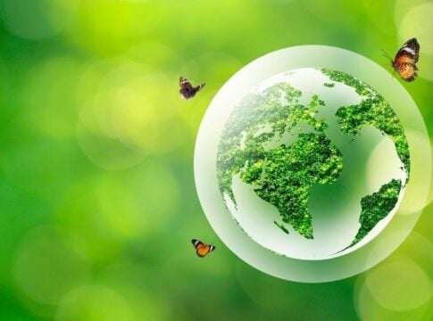 Beyond Carbon Credits: How KARBNZ Is Building a Natural Capital Platform Around Forests, Biomass, and Biochar