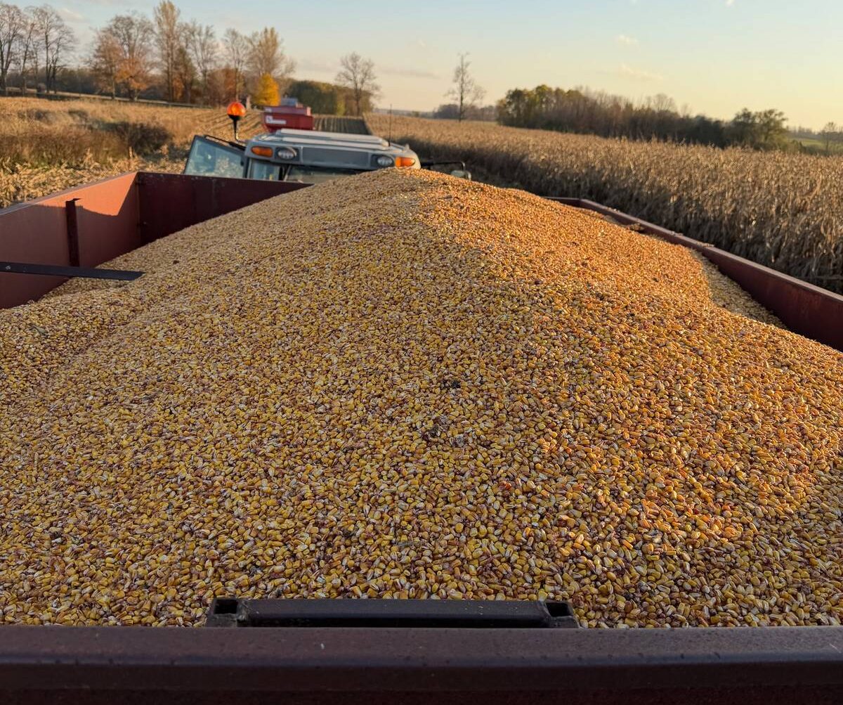 Transportation infrastructure has to keep up with the fast flow of crop from new, larger combines. Photo: John Greig