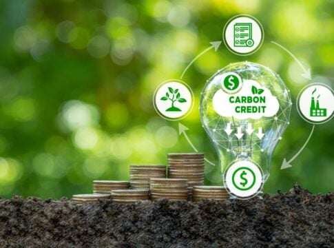Carbon Credit Retirements Hit Record High Despite Falling Supply: What Does This Say About the Market