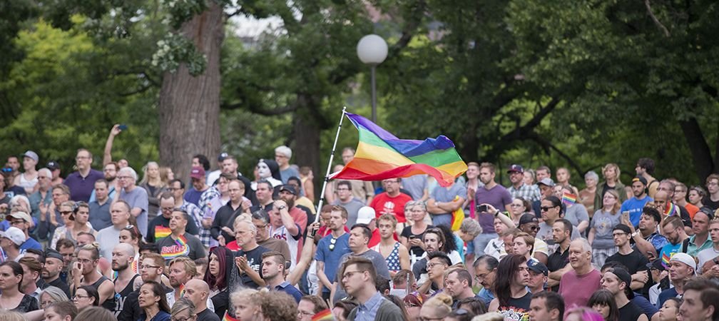 A large group of people support LGBTQ2SIA+ rights under the canopy of mature trees in a park or naturalized space, a large-scale Pride gathering