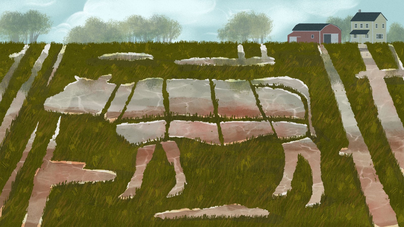 an illustration of a field irrigated with pools in the shape of a cow cut up into parts a la butcher diagram