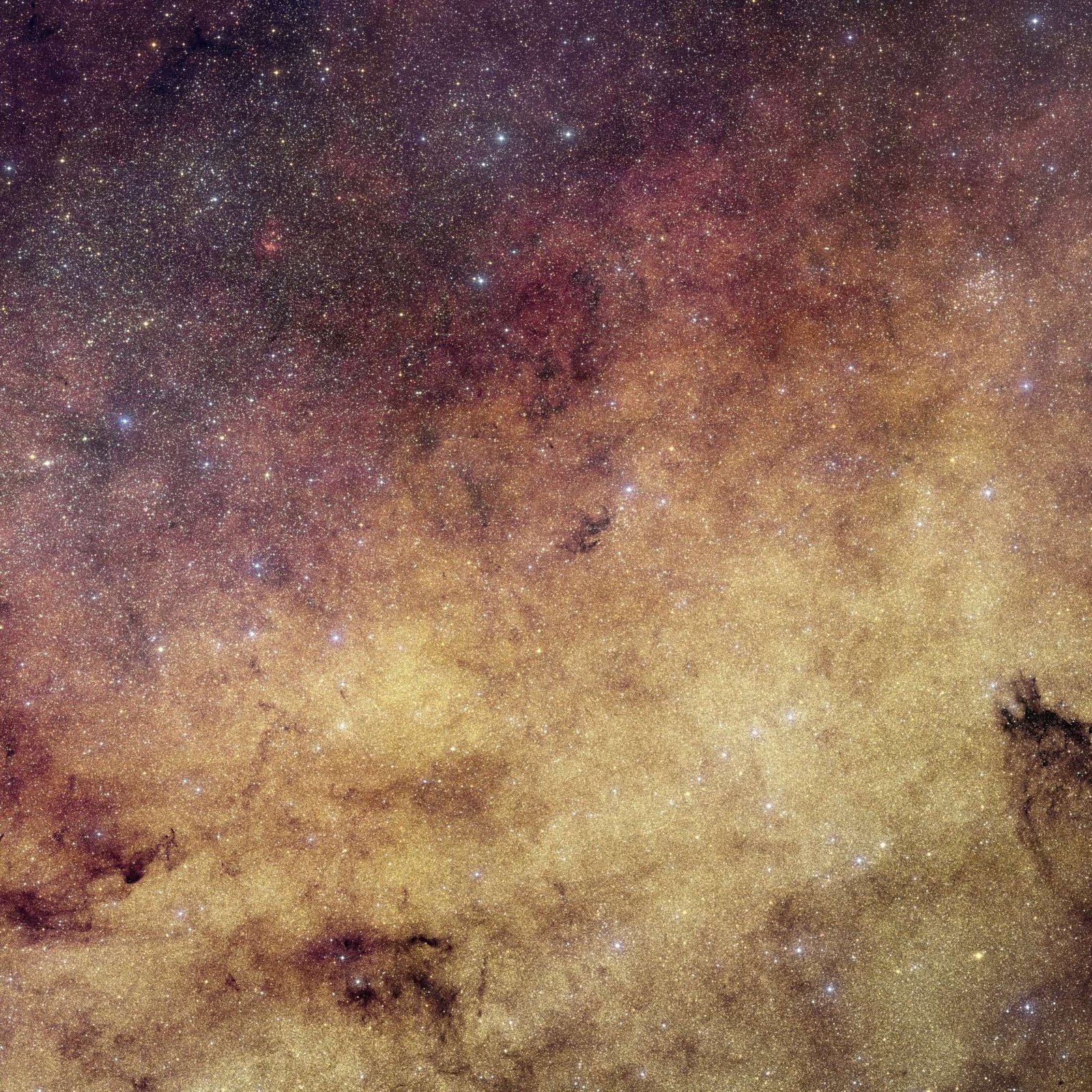 This view of the heart of the Milky Way Galaxy features dense yellow clouds and millions of stars.