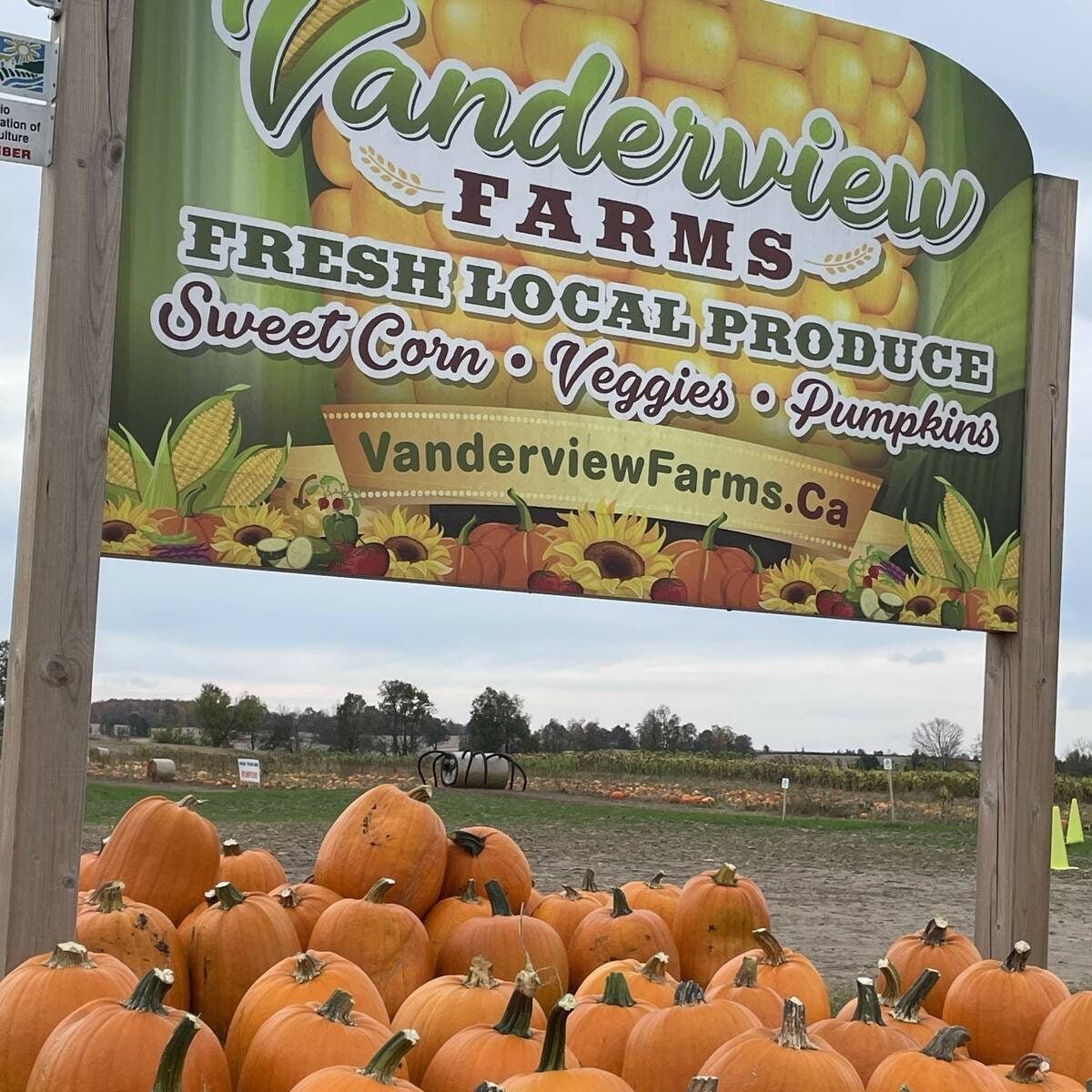 Vanderview Farms at Norwood, Ont., lies within the proposed Alto high-speed rail project. Owner Will Vanderhorst is concerned that the project will cut off farms like his from rural services and market access. Photo: Submitted
