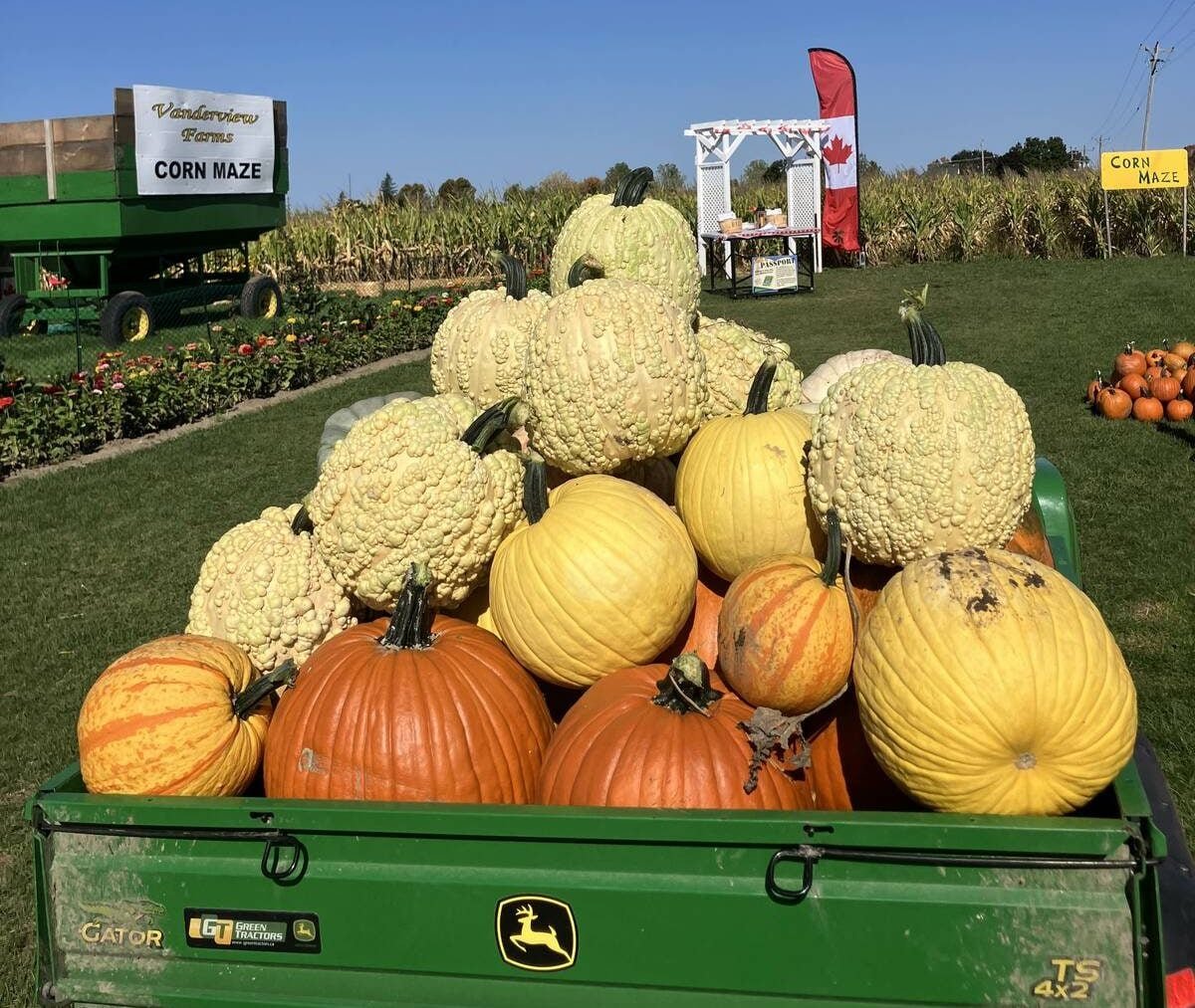 The Venderhorst family operated Vanderview Farms at Norwood, Ont., a agritourism business that welcomes visitors from July to late October. Photo: Submitted