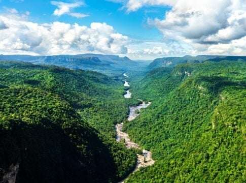 Guyana’s $353 Million Carbon Credit Success Shows How Forests Can Become a Global Climate Asset
