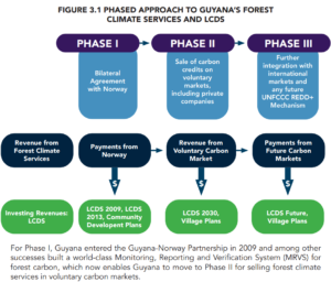 Guyana carbon credits in LCDs
