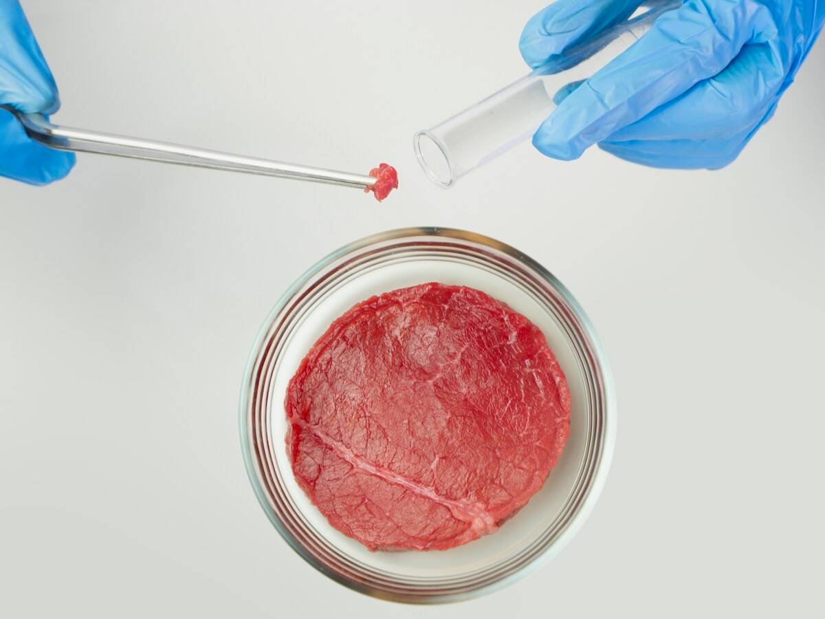 Cultivated meat has attracted significant attention over the past decade, but the country-level regulatory approvals needed to produce it remain limited. Photo: Marco de Benedictis/iStock/Getty Images