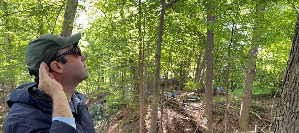 Listening to bird song in a forest, hearing bird calls, listening to songbirds, hearing robins sing vocalizations, a person cupping their hand to their ear to more easily listen to and detect bird songs