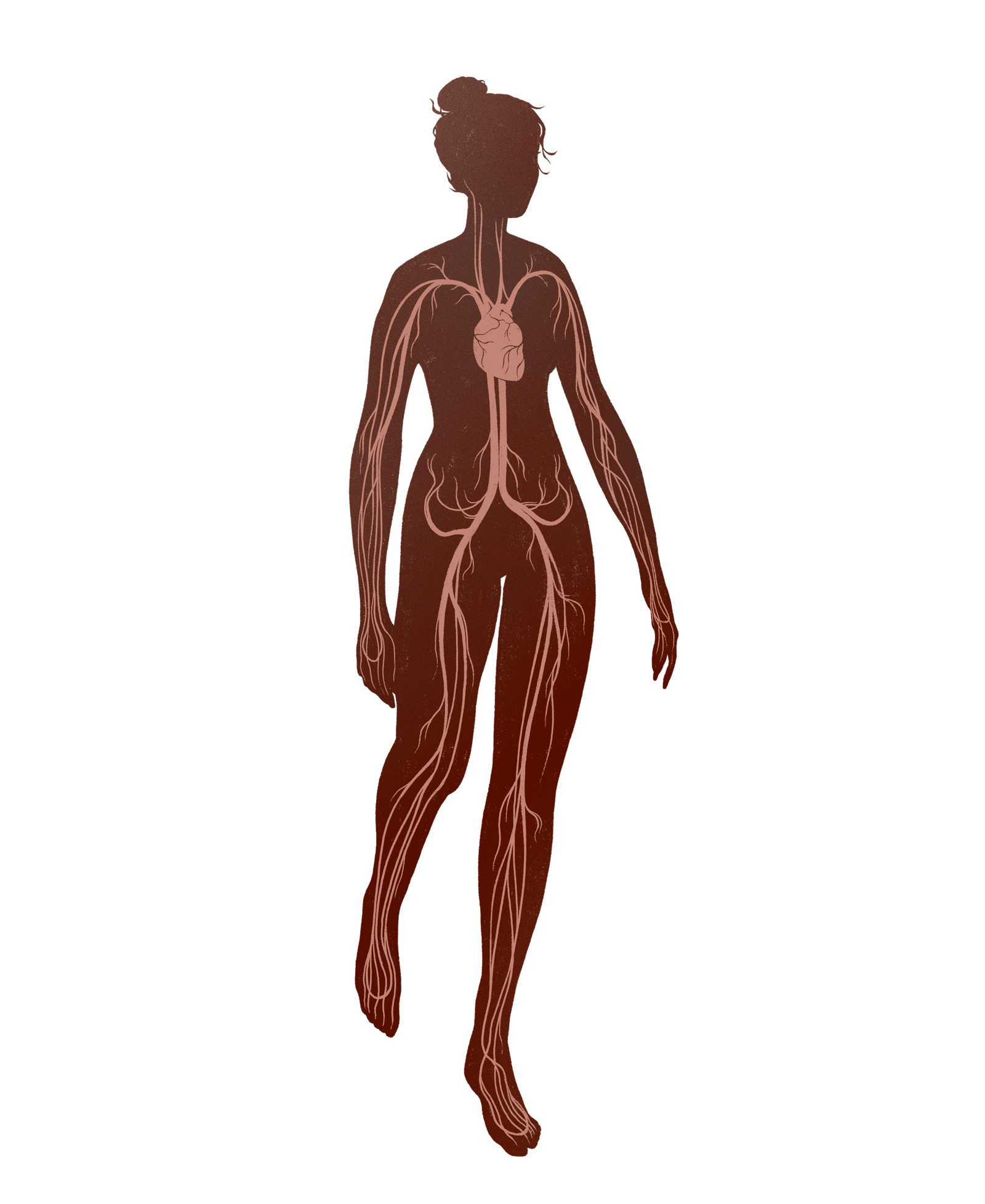silhouette-cardiovascular