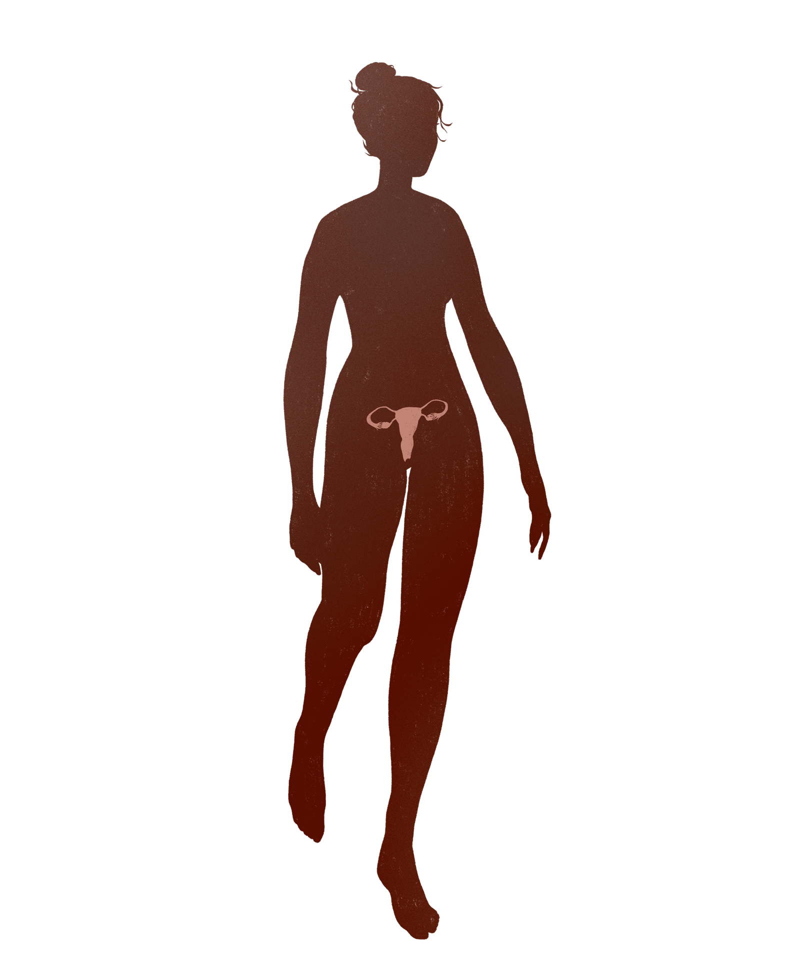 silhouette-reproductive