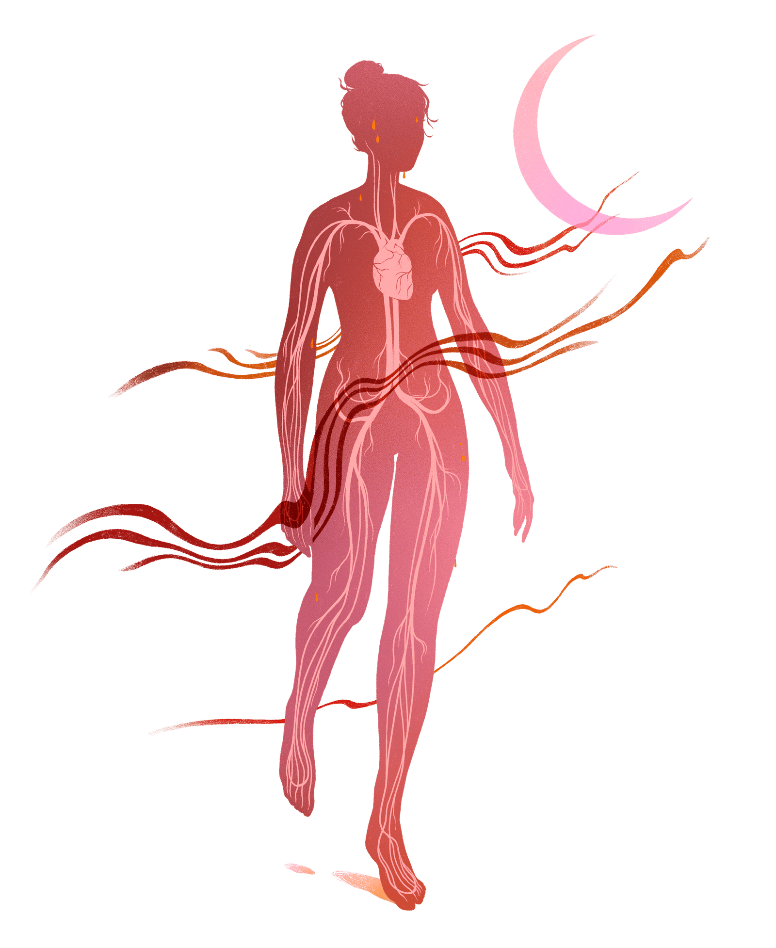 Climate-Health-cardiovascular