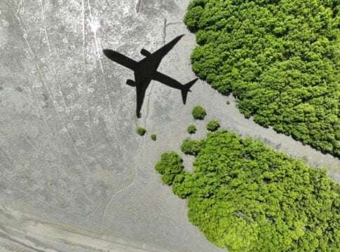 IATA’s New Carbon Credit Alliance: Can Aviation Secure Enough Offsets for Net Zero?