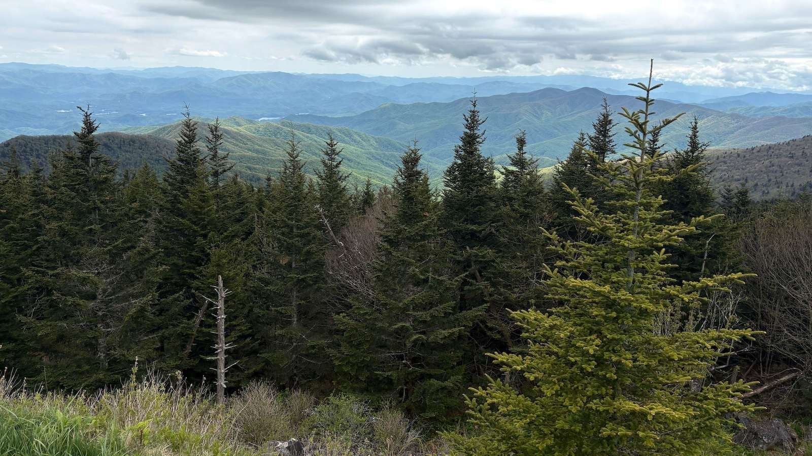 A panoramic vista of Great Smoky Mountains National Park.