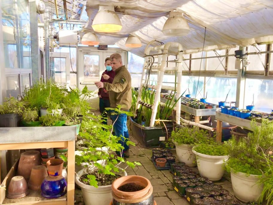 Two people talk among potted plants inside the school's greenhouse. Photo: Don Mills Collegiate Institute
