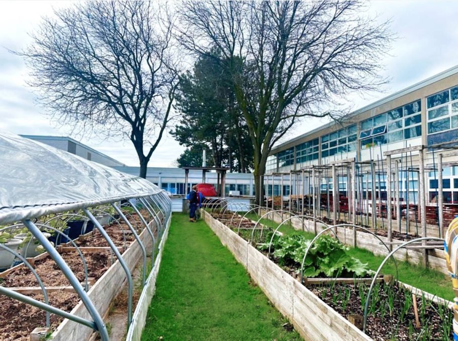 A polytunnel and raised garden beds fill the interior courtyard at Don Mills Collegiate Institute. Photo: Don Mills Collegiate Institute