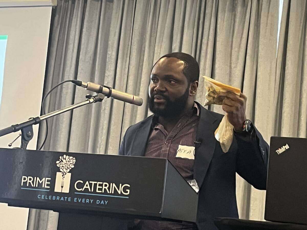 Atta Agyekum, a nutrition scientist for the Prairie Swine Centre, shows off the different-sized pellets they used in creep feed studies. Photo: Greg Price
