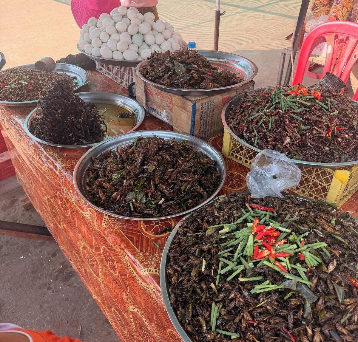 Roasted insects are a popular, high-protein snack commonly enjoyed from street vendors. Ranging from crickets and tarantulas to silkworm pupae, they are often fried with seasonings such as chili, garlic or soy sauce. Photo: AALP