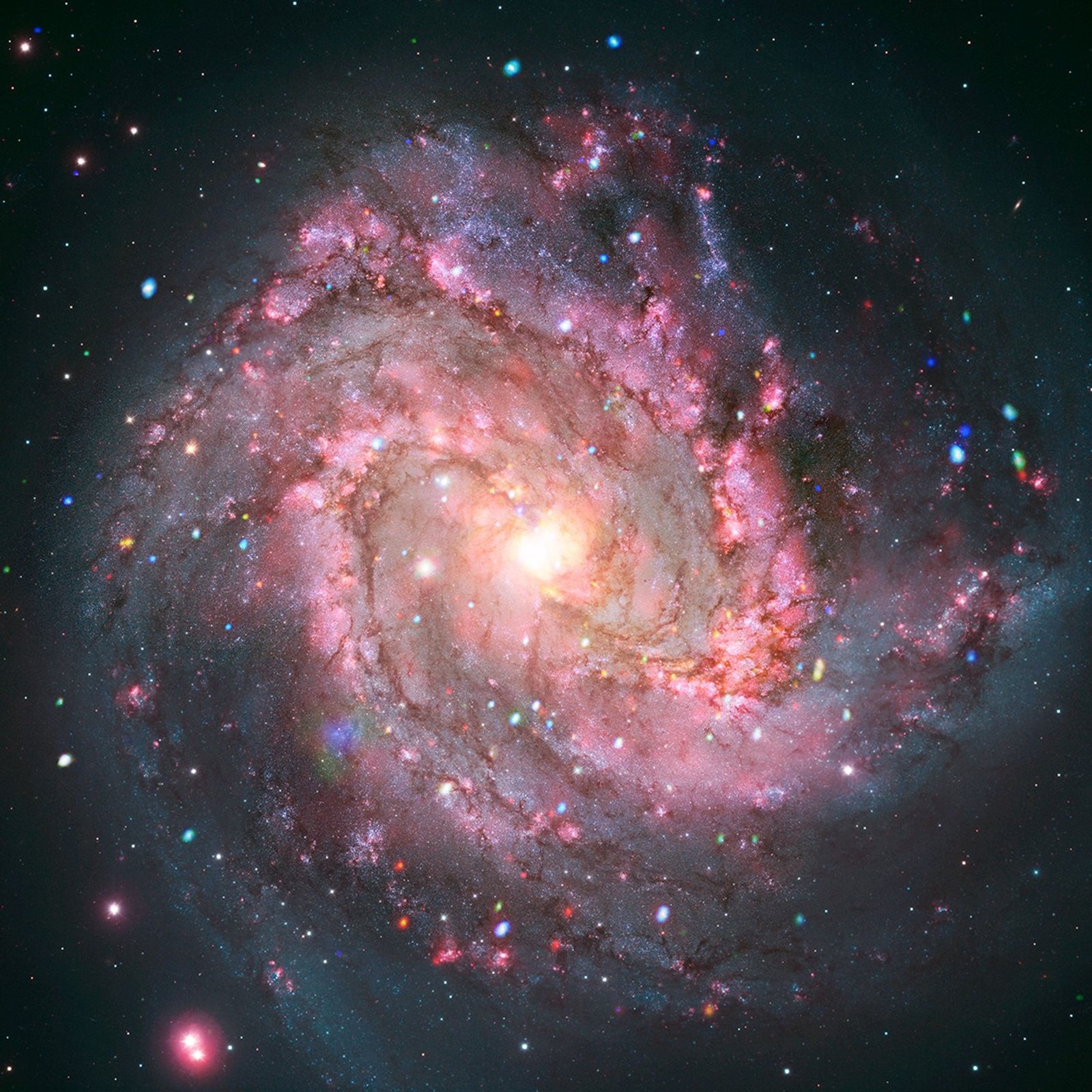 A full field composite image of M83 with X-rays from Chandra (red, green, and blue) and optical light data from Hubble (red, green, and blue).