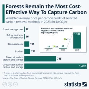 carbon removal