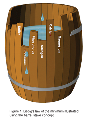 Barrel showing Liebig's law of the minimum