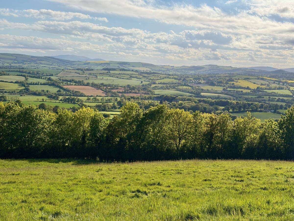 The view from a hill of the Irish countryside near Wicklow. Photo: John Greig