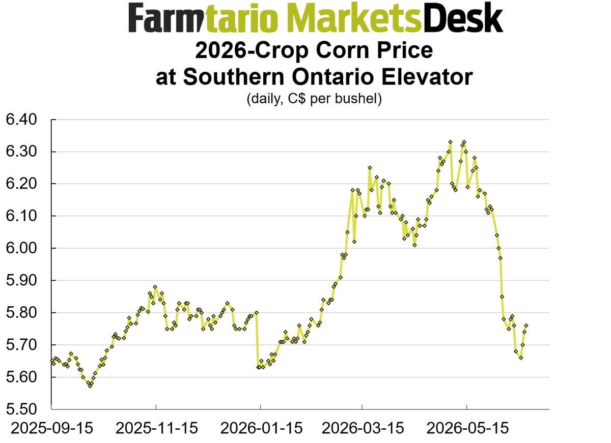 Corn bids for harvest have fallen to the January lows.Southern Ontario cash soybean prices have lost per bushel since late May.