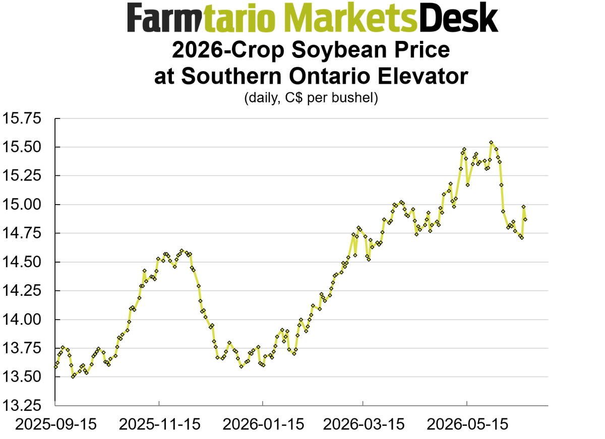 Soybean bids for the 2026 harvest are down 75 cents per bushel from spring highs.