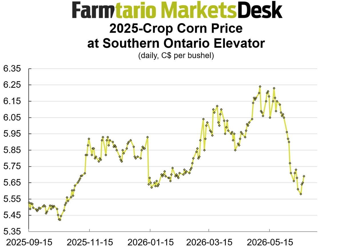 Southern Ontario 2025-crop cash corn bids fell 70 cents per bushel in three weeks.