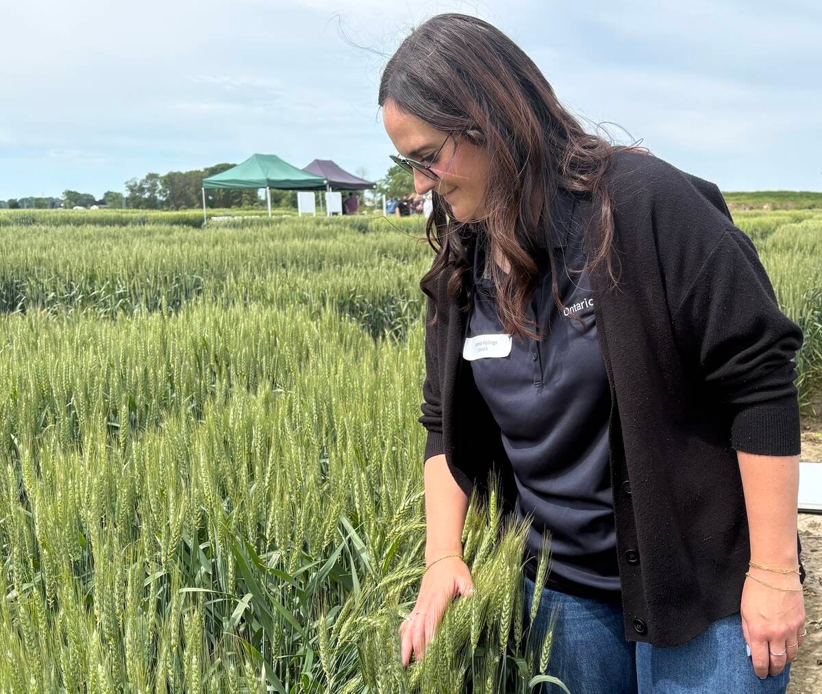 Joanna Follings, Ontario Ministry of Agriculture, Food and Agribusiness cereals expert,	inspects wheat plots at Wheat Wisdom Wednesday held at C&M Seeds near Palmerston, Ont. Photo: Sarah McGoldrick